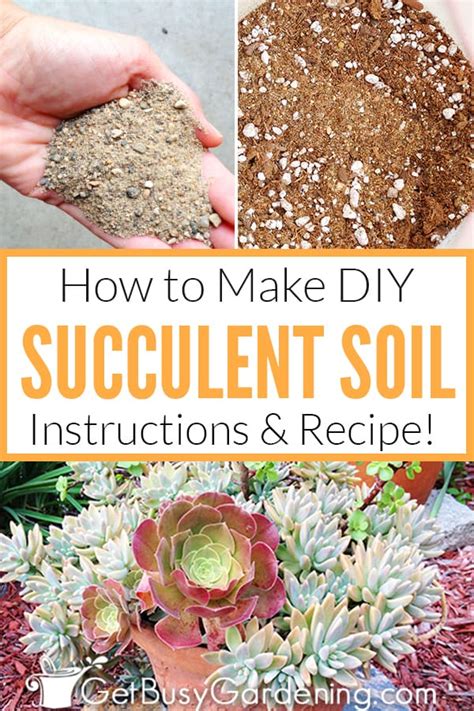 How To Make Your Own Succulent Soil With Recipe Get Busy Gardening