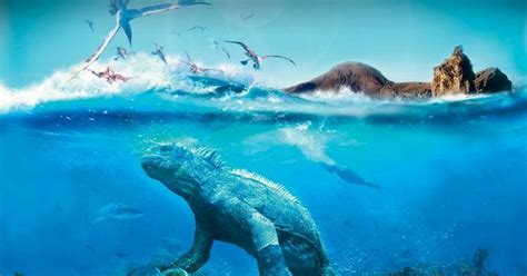 Galapagos 3d Cud Natury W Kinie Imax Film