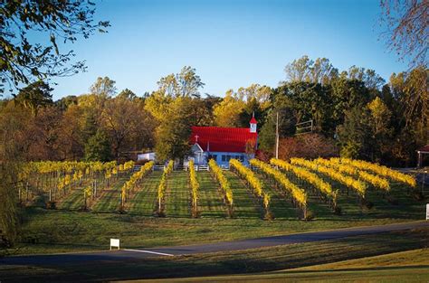 Jefferson Vineyards Charlottesville Guide