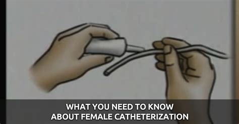 What You Need To Know About Female Catheterization Qd Nurses