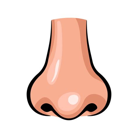Nose Clipart For Kids