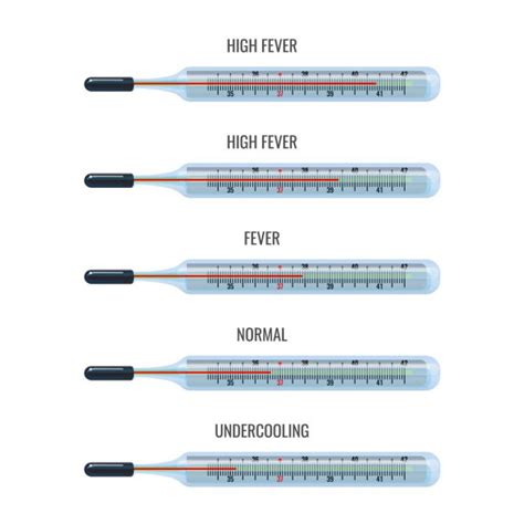 Thermometer With Explanation Of Temperature Types Vector Illustration