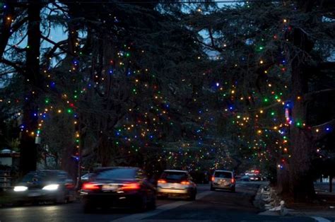 How The Famous Trees Of Altadenas Christmas Tree Lane Were Saved In