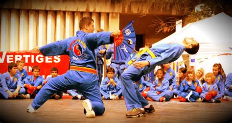 Programme Passage De Grades Vovinam Viet Vo Dao Marseille