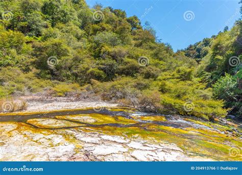 Stream At Waimangu Volcanic Valley In New Zealand Stock Photo Image