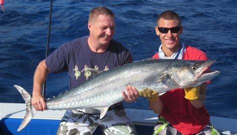 Spotlight On Tuna Wahoo West Palm Beach Fl Fin And Field Blog