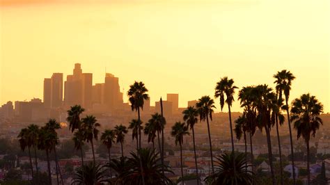 Downtown Los Angeles Cityscape At Sunset With Palm Trees