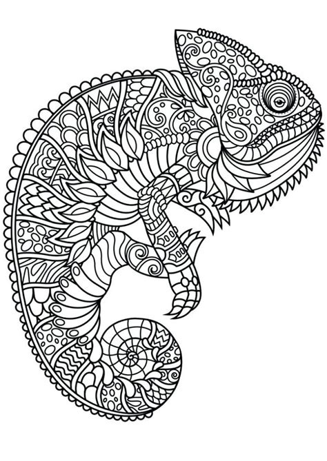 Hibernating animal coloring pages bear maze activity color page. Animal Mandala Coloring Pages - Best Coloring Pages For Kids