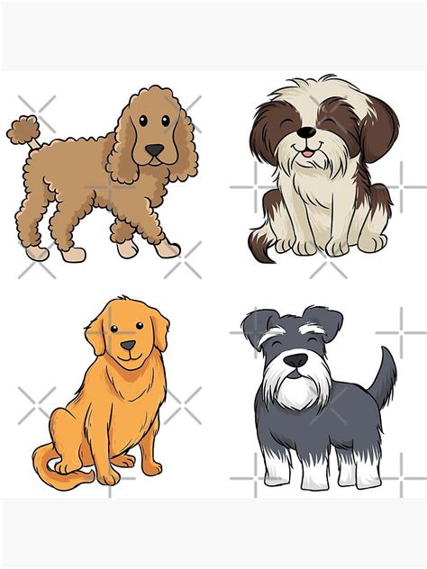 Cute Dog Breed Illustrations Poodle Shih Tzu Golden Retriever