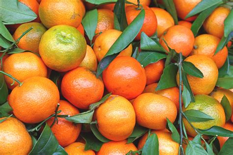 Real Food Encyclopedia Mandarin Orange Foodprint