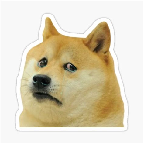 Sad Doge Sticker For Sale By Chrisprattfanac Redbubble