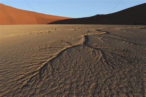 This page is about namibian desert southern africa facts,contains sossusvlei & namib desert : Dead vlei namib desert namibia Stock Photo - 1916059 ...