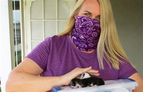Kitten Kits Prepare The Public To Save Lives Best Friends Animal Society