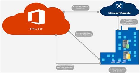 How Big Is The Latest Office 365 Update Lulichic