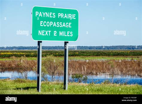 Gainesville Floridamicanopypaynes Prairie Ecopassage Nature State