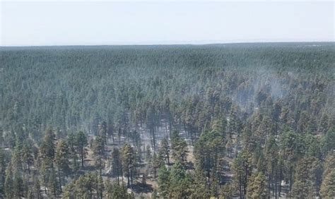 Kaibab Coconino Forests To Restart Fire Restrictions Due To Lack Of Rain