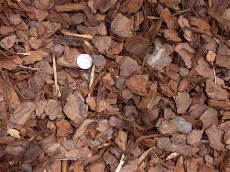 Bark Chips Ground Cover Salience Vodcast Photogallery
