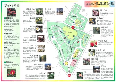赤塚植物園（植物園）｜TOKYOおでかけガイド