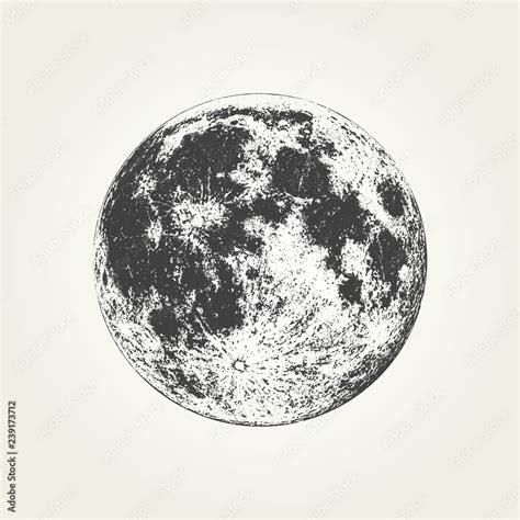 Realistic Full Moon Detailed Monochrome Vector Illustration Stock
