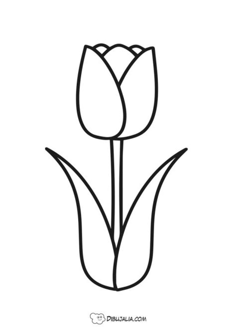 Tulipán Dibujo 2581 Dibujalia Los Mejores Dibujos Para Colorear