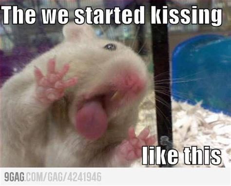 The Hamster Is Just So Cute Smile Funny Pictures Funny Animal