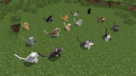 How Many Breeds Of Cats Are In Minecraft