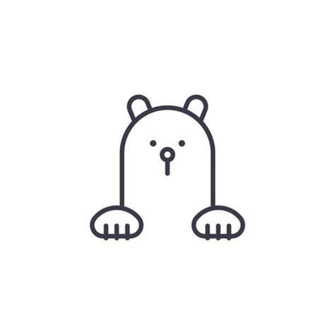 Bear Cub Illustrations Royalty Free Vector Graphics