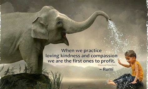 Albert einstein inspiring quote about compassion towards animals: Quotes About Kindness And Compassion. QuotesGram