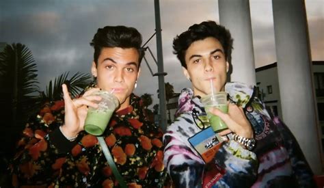 Pin by LeaAmy Contreras on Dolan Twins ️ | Dollan twins, Dolan twins memes, Cute twins