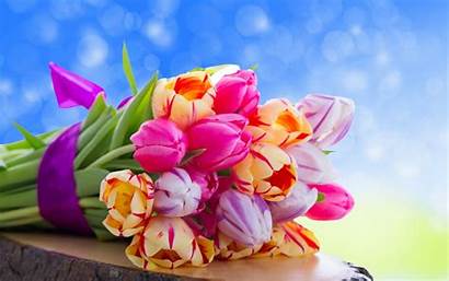 Colorful Flowers Wallpapers Flower Colourful Pretty Pixelstalk