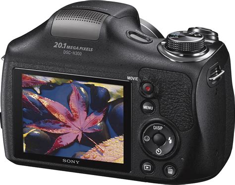 Sony Dsc H300 201 Megapixel Digital Camera Black Dsch300b Best Buy