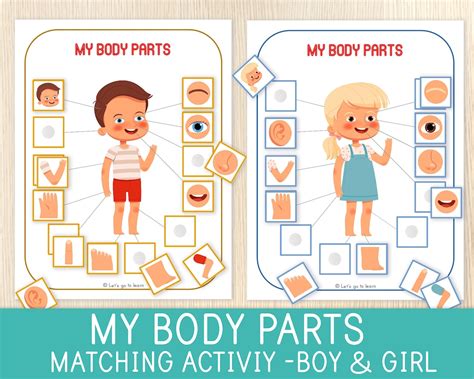 Body Parts Matching Activity Human Body Toddler And Preschool