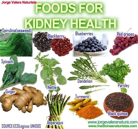 Fruits For Healthy Liver And Kidney Food Keg