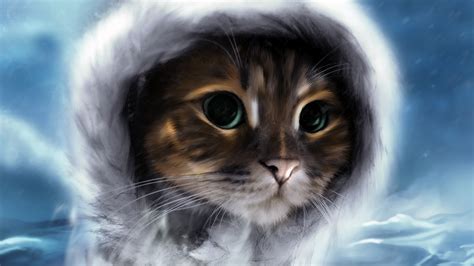 Art Animals Cats Felines Sky Clouds Face Hat Wallpapers Hd