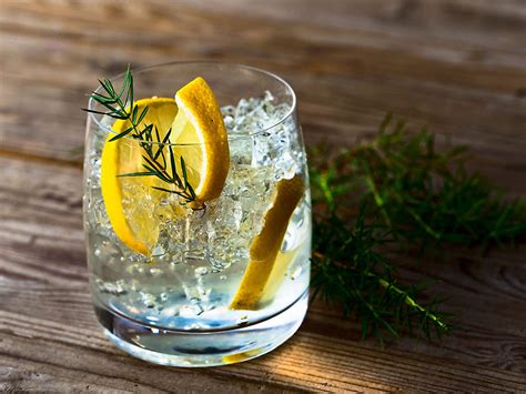 14 Amazing Gin Nutrition Facts