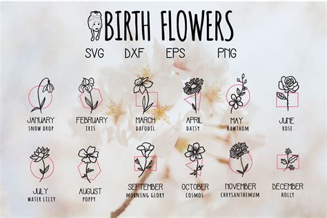 Birth Flower Svg