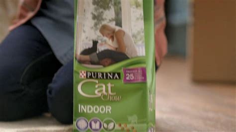 Purina Cat Chow Tv Commercial Kimi And Atti Ispottv