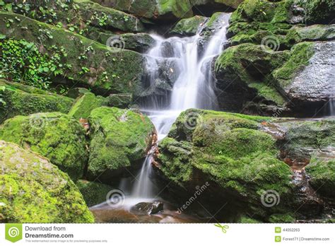 Waterfall And Rocks Covered With Moss Stock Image Image Of Tropical