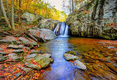 Scenic Fall Sights In Maryland Biomedical Odyssey