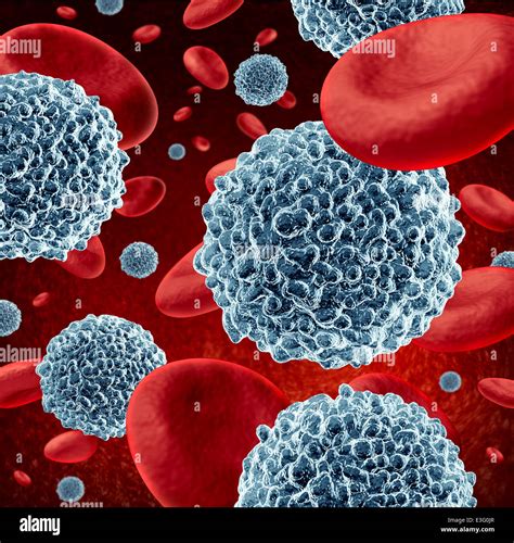 Top 93 Pictures The Formation Of Red And White Blood Cells By The Red