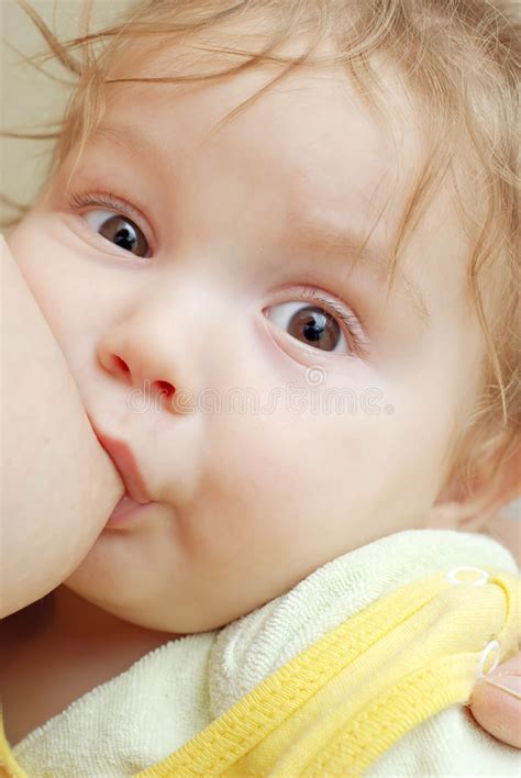 Little Boy Nursing Stock Photo Image Of Eating Beauty 4368046