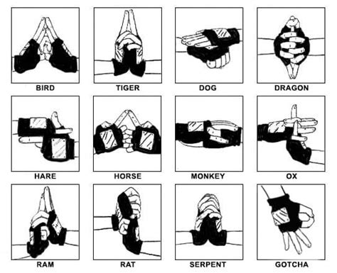 Image Result For Naruto Hand Signs Naruto Hand Signs Naruto Anime