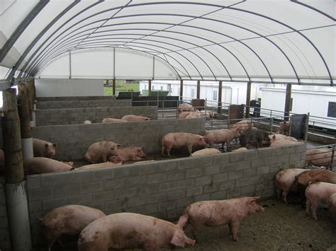 Pig Shelters Barns Outdoor Housing SmartShelters NZ