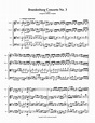 Brandenburg Concerto No.3, BWV 1048 (J. S. Bach) | Matt Naughtin