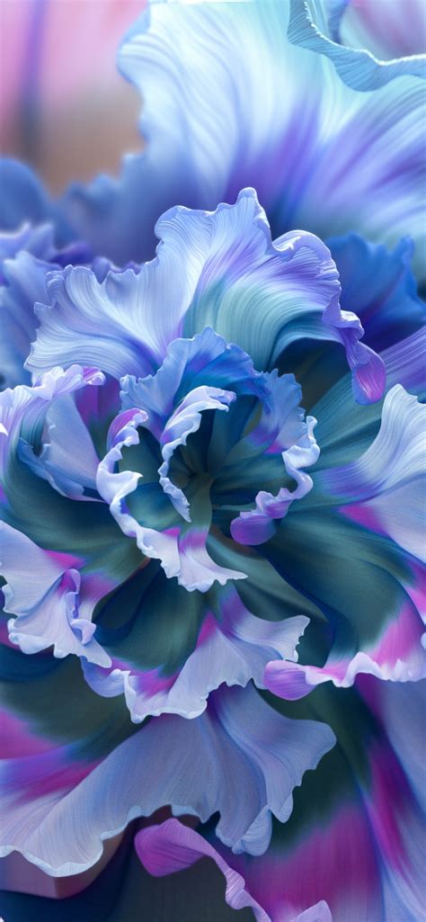 Top More Than 65 Iphone Purple Flower Wallpaper Super Hot Incdgdbentre