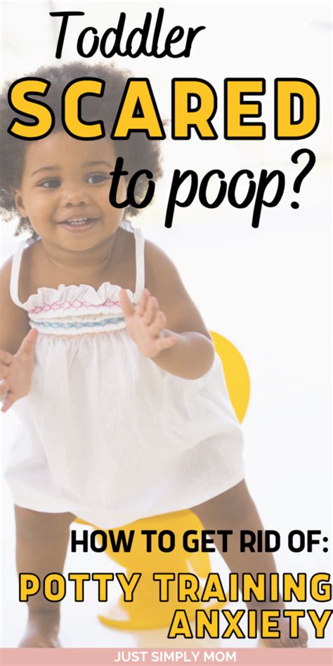 Toddler Scared To Poop How To Get Rid Of Potty Training Anxiety Just