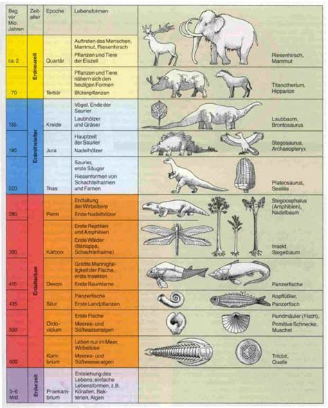 Epochen Der Erdgeschichte Erdgeschichte Erdzeitalter Zeittafel