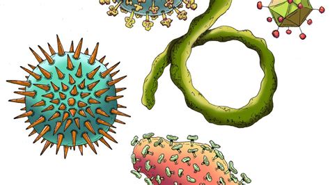What Is The Coronavirus Virus Science Explained Caltech Science Exchange