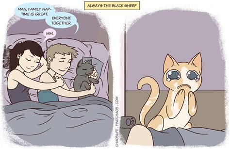 Blacksheeppng 843×546 Cute Comics Life Comics Cat Comics