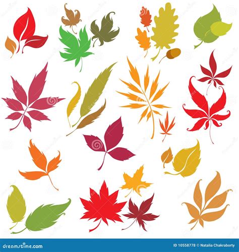 Set Of Autumn Leaves Design Elements Royalty Free Stock Photos Image